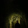 Čelná lampa Halo™ AL320 Headtorch – Obrázok 3