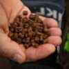 Nikl Pelety Giga Squid 1kg – Obrázok 6