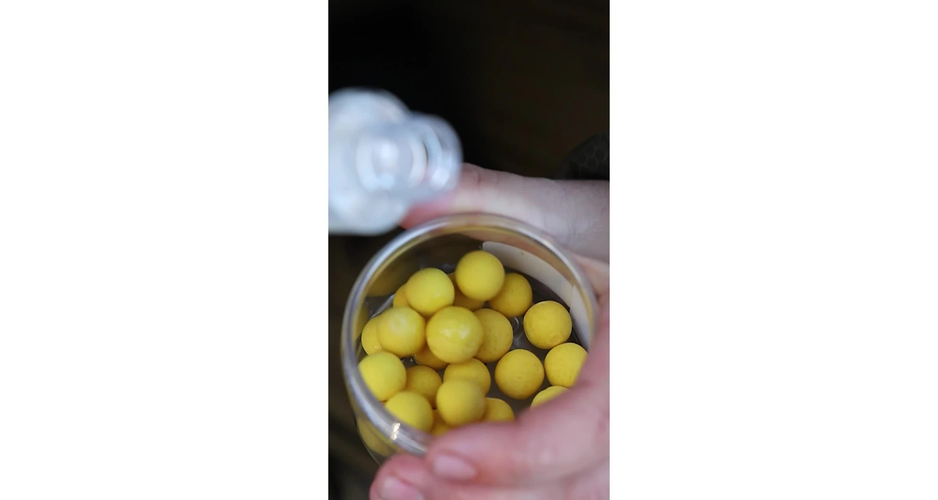 Nikl Esence Mango 50ml - MojeRybárstvo.sk Nikl Esence Mango 50ml – Obrázok 2