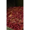 Nikl CSL Mixer Scopex & Squid 500ml - MojeRybárstvo.sk Nikl CSL Mixer Scopex & Squid 500ml – Obrázok 2