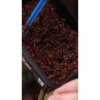 Nikl Stick mix Chilli & Peach 500g - MojeRybárstvo.sk Nikl Stick mix Chilli & Peach 500g – Obrázok 3