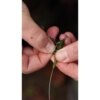 Carp´R´Us Hotová montáž Snag Clip System Silt 92cm - MojeRybárstvo.sk Carp´R´Us Hotová montáž Snag Clip System Silt 92cm – Obrázok 3