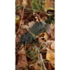 Trakker Bivak Tempest RS 150 Camo - MojeRybárstvo.sk Trakker Bivak Tempest RS 150 Camo – Obrázok 3