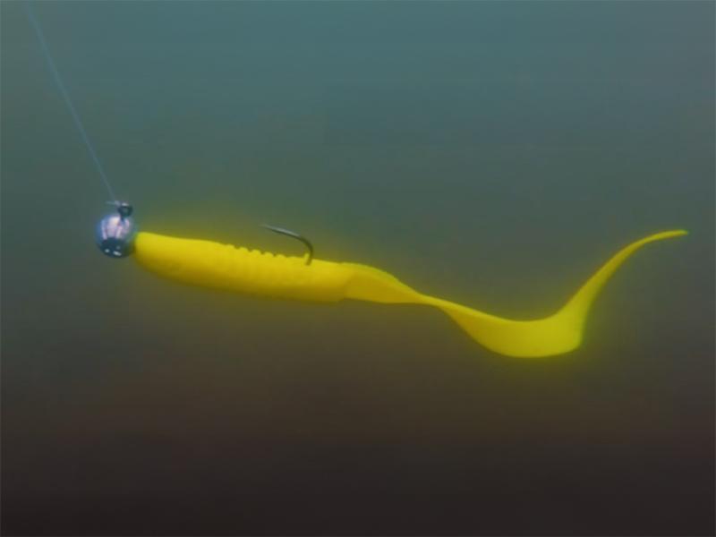 Jigová hlava s držiakom Delphin TYRE / 5ks - MojeRybárstvo.sk Jigová hlava s držiakom Delphin TYRE / 5ks – Obrázok 6