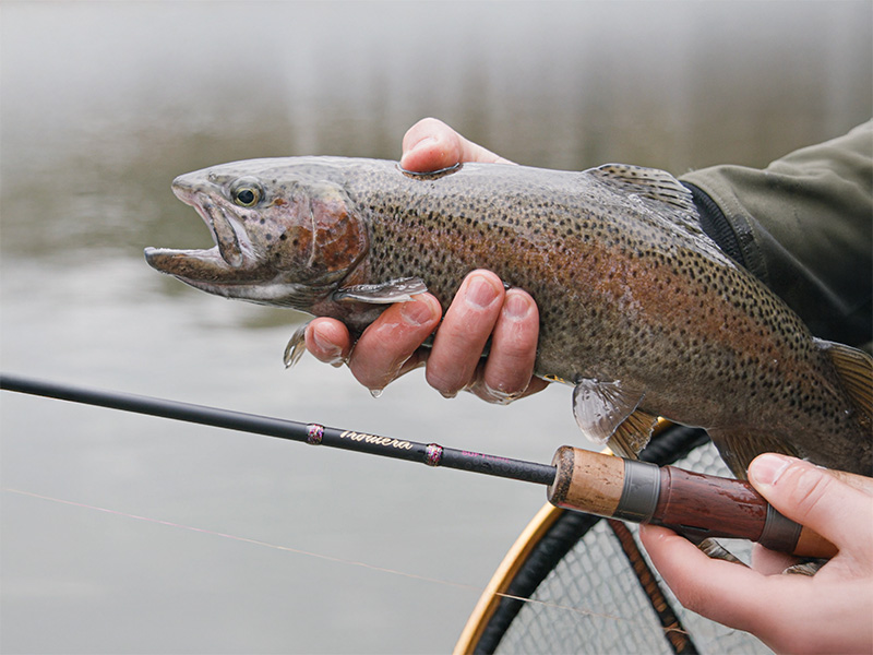 Delphin TROUTERA SoftLURE - MojeRybárstvo.sk Delphin TROUTERA SoftLURE – Obrázok 8