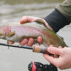Delphin TROUTERA HardLure – Obrázok 10