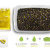 Pellet box Delphin Reaxe READY&GO / Kukurica-Ananás - MojeRybárstvo.sk Pellet box Delphin Reaxe READY&GO / Kukurica-Ananás – Obrázok 3