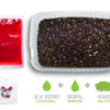 Pellet box Delphin Reaxe READY&GO / Slivka-Moruša - MojeRybárstvo.sk Pellet box Delphin Reaxe READY&GO / Slivka-Moruša – Obrázok 2