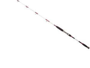 Hell-Cat Prut Ares Special Hard 1,75m 170-250g