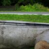 Giants fishing Prut Black Method Feeder 11ft 40-90g – Obrázok 2