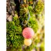 Giants fishing Rovnátka na háček Tungsten Line Aligner Long Shank size 6-12/10ks – Obrázok 5