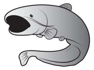 Nálepka sumec SILVER