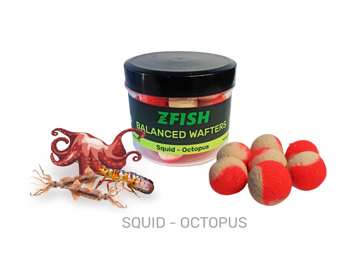 ZFISH Vyvážené Boilies Balanced Wafters 8mm - MojeRybárstvo.sk ZFISH Vyvážené Boilies Balanced Wafters 8mm – Obrázok 6