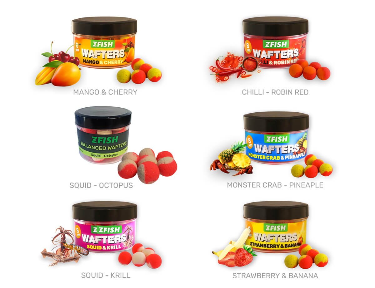 ZFISH Vyvážené Boilies Balanced Wafters 8mm - MojeRybárstvo.sk ZFISH Vyvážené Boilies Balanced Wafters 8mm