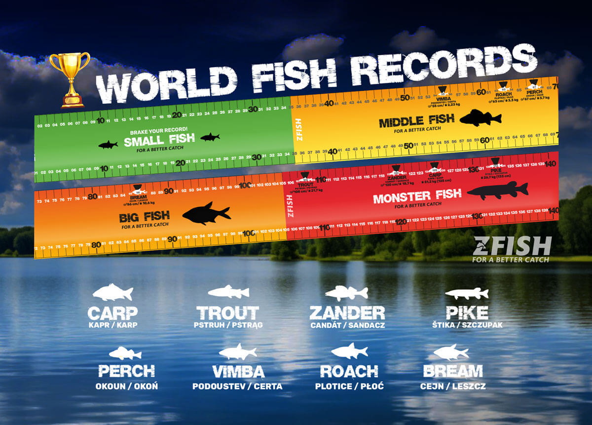 ZFISH Měřící Podložka Challenge Metr - MojeRybárstvo.sk ZFISH Měřící Podložka Challenge Metr – Obrázok 4