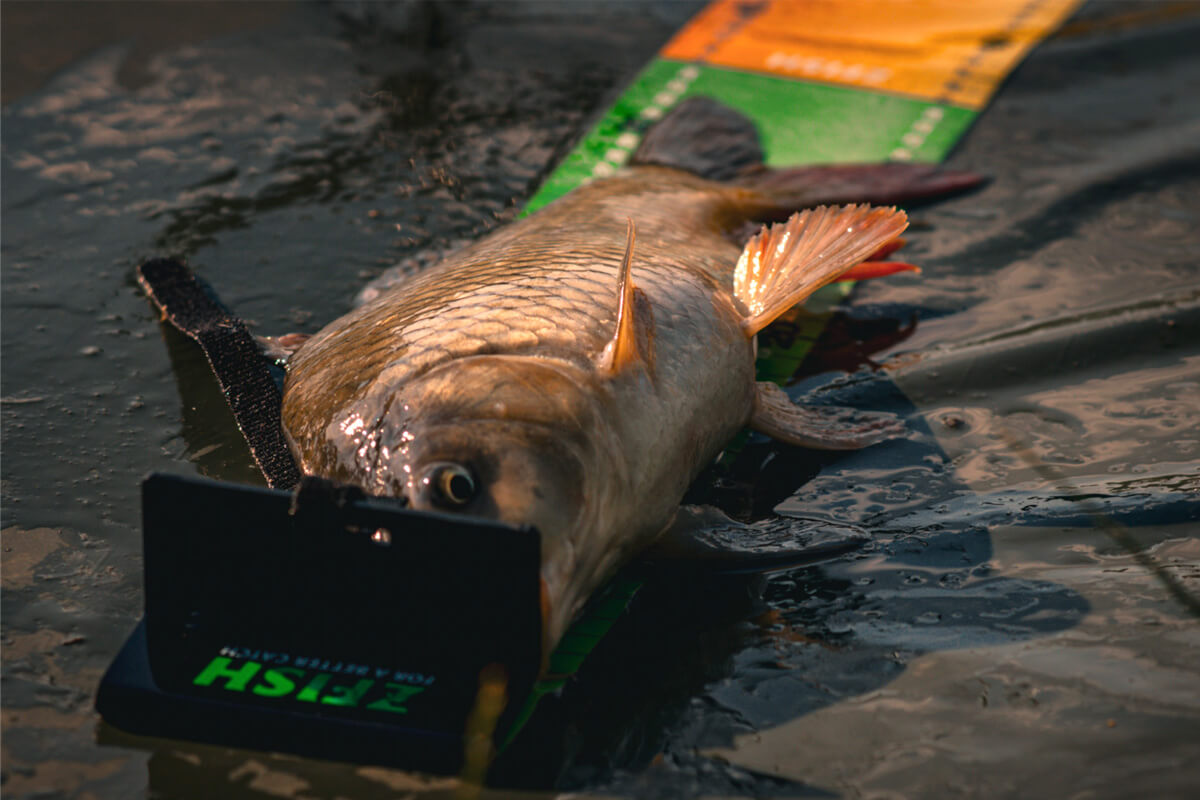 ZFISH Měřící Podložka Challenge Metr - MojeRybárstvo.sk ZFISH Měřící Podložka Challenge Metr – Obrázok 7