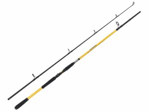 ZFISH Prut Kodiak 2,40m/100-250g