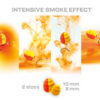 ZFISH Smoke Hurricane Wafters 2in1 - MojeRybárstvo.sk ZFISH Smoke Hurricane Wafters 2in1 – Obrázok 2