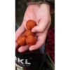 Nikl Ready boilie Chilli & Peach – Obrázok 3