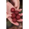 Nikl Ready boilie Krill Berry – Obrázok 3