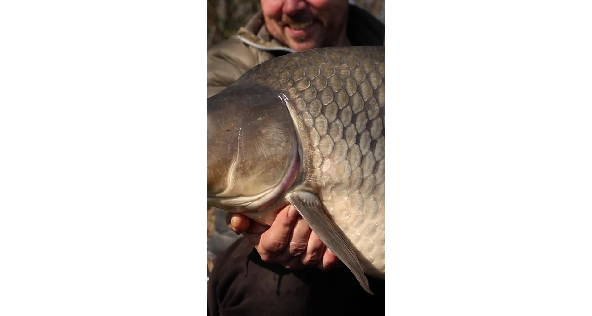 Carp´R´Us Háčky Wide Gape ATS 10ks - MojeRybárstvo.sk Carp´R´Us Háčky Wide Gape ATS 10ks – Obrázok 3