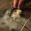 Trakker Lopatky Bait Scoop Set 3ks – Obrázok 3