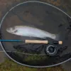 Wychwood muškařský set Fly Fishing Kit 10(3,05m) #7/8 - MojeRybárstvo.sk Wychwood muškařský set Fly Fishing Kit 10(3,05m) #7/8 – Obrázok 5