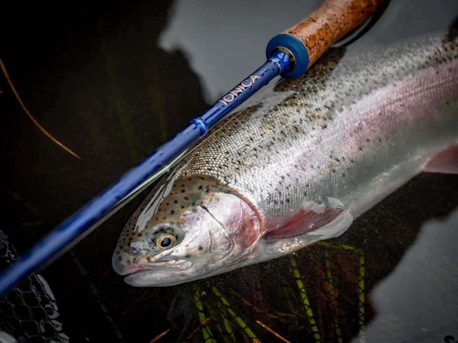Wychwood muškařský prut Ionica Fly 9ft 6inch AFTMA #6 4-díl - MojeRybárstvo.sk Wychwood muškařský prut Ionica Fly 9ft 6inch AFTMA #6 4-díl – Obrázok 3