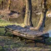 Giants fishing Lehátko + spací pytel Bedchair/Sleeping Bag System RWX 5 STD - MojeRybárstvo.sk Giants fishing Lehátko + spací pytel Bedchair/Sleeping Bag System RWX 5 STD – Obrázok 7