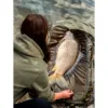 Giants fishing Podložka Senso Zip Mat – Obrázok 6