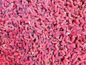Pinka červená (1L=600gr.)