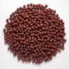 Rapid Boilies Starter - Hot Spice (3500g | 20mm) - MojeRybárstvo.sk Rapid Boilies Starter - Hot Spice (3500g | 20mm) – Obrázok 5