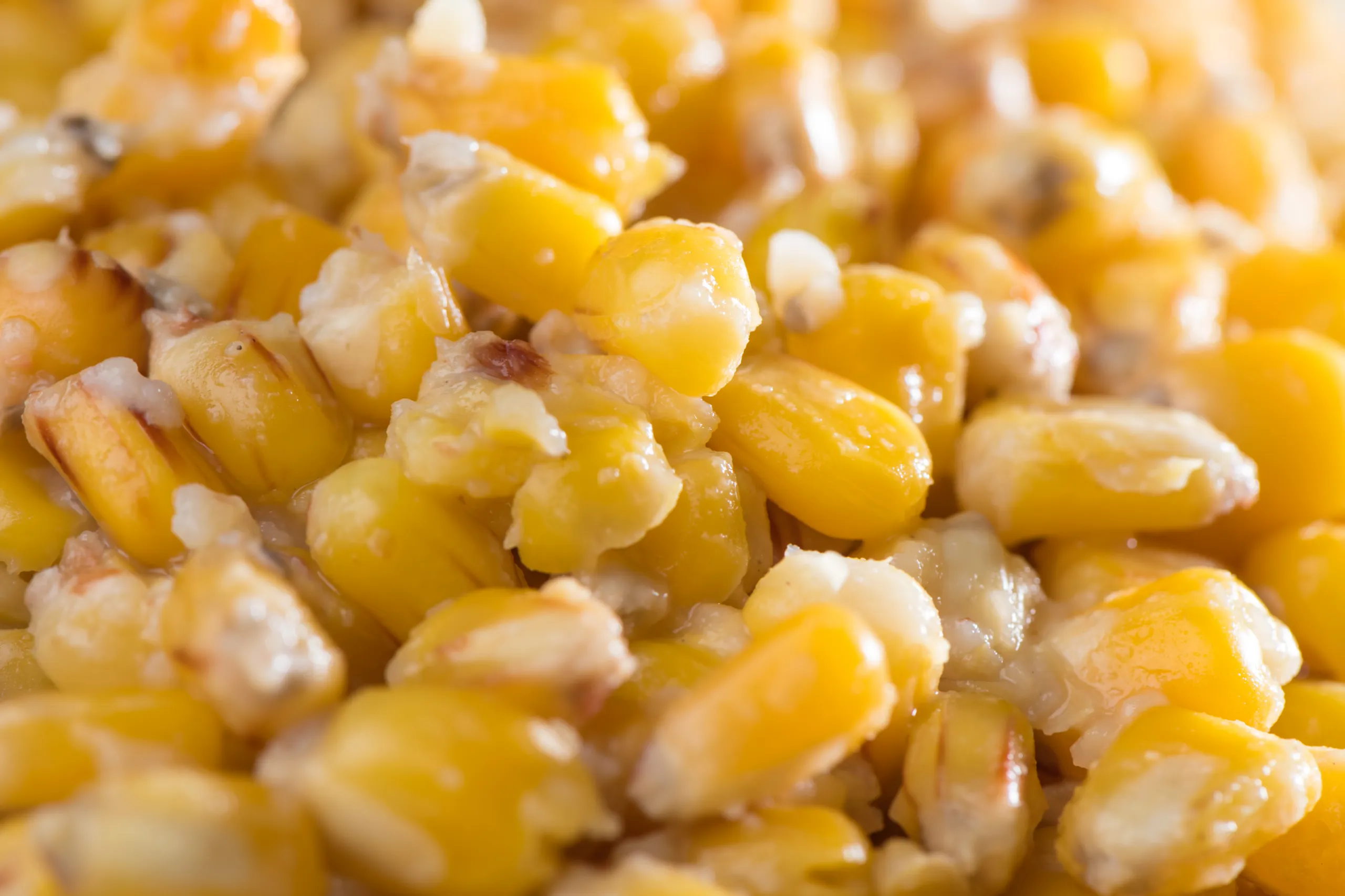 Kukuřice - Vanilka 1kg - MojeRybárstvo.sk Kukuřice - Vanilka 1kg