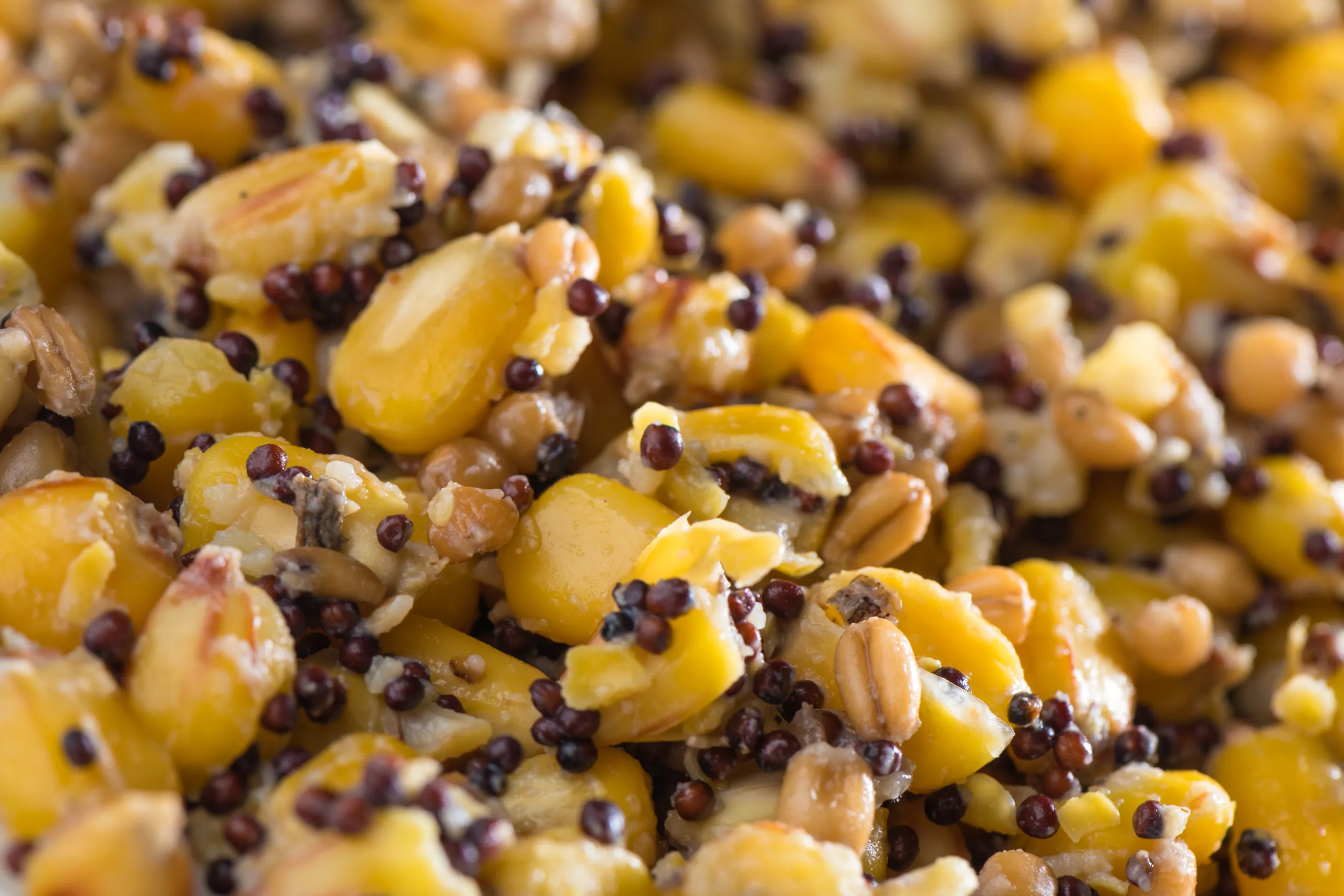 Partikl mix 2,5kg - MojeRybárstvo.sk Partikl mix 2,5kg