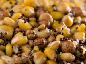 Partikl mix premium 1kg