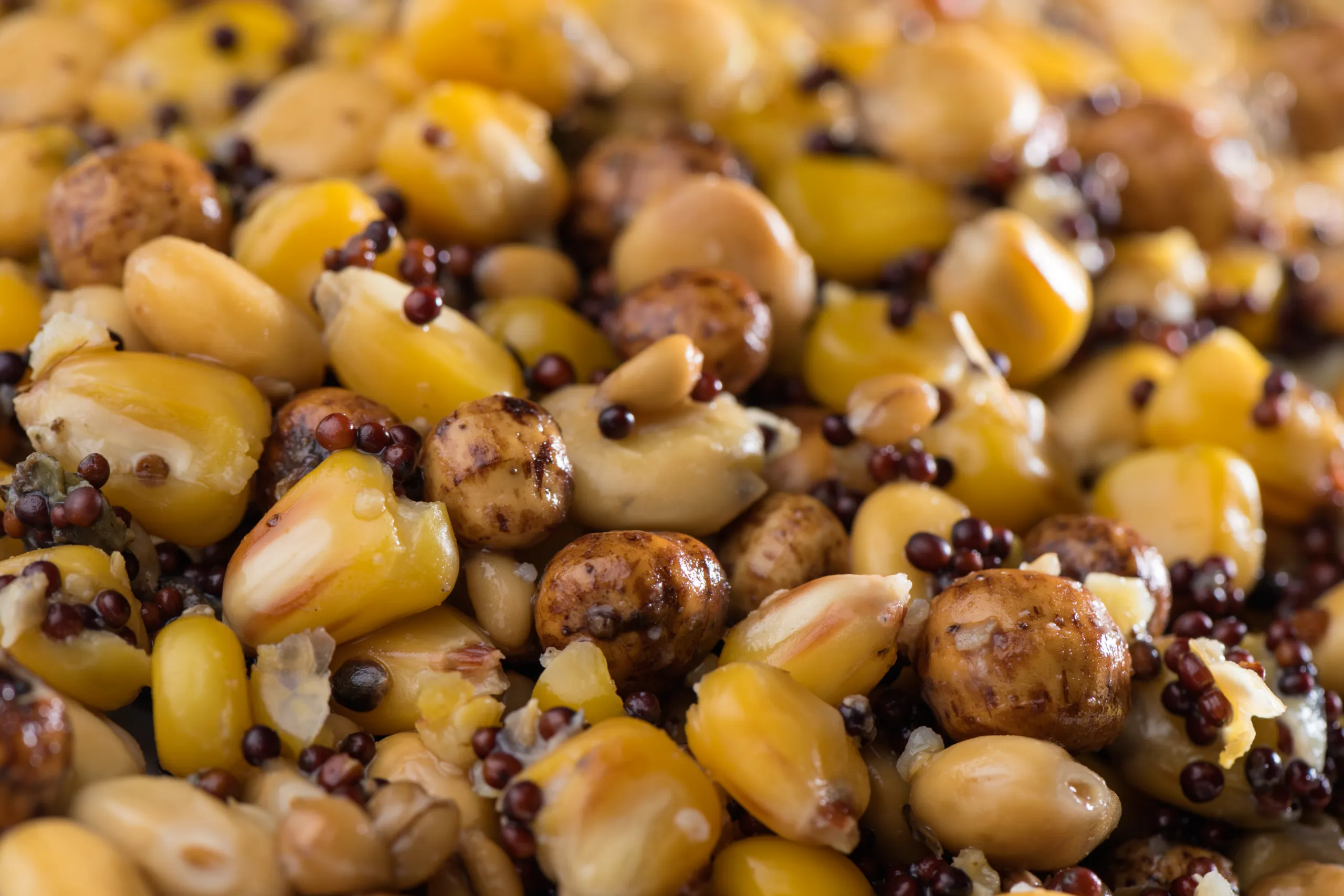 Partikl mix premium 1kg - MojeRybárstvo.sk Partikl mix premium 1kg