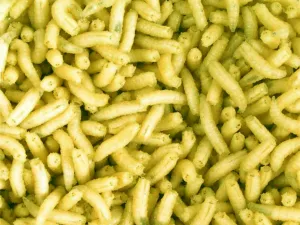 Larva fluo l (1L=600gr.)