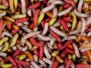 Larva barevná ( krabička 1dcl )