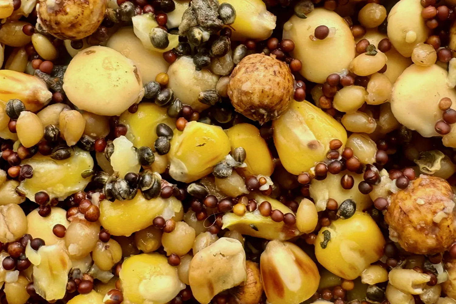Partikl mix premium 1kg - MojeRybárstvo.sk Partikl mix premium 1kg – Obrázok 3