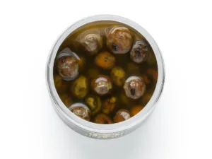 Tiger nut coloured - Scopex / Vanilka (250ml)